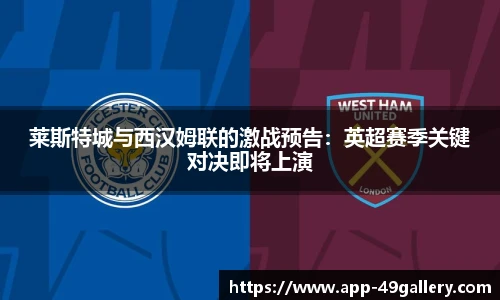 49图库正版免费