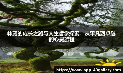 49图库首页